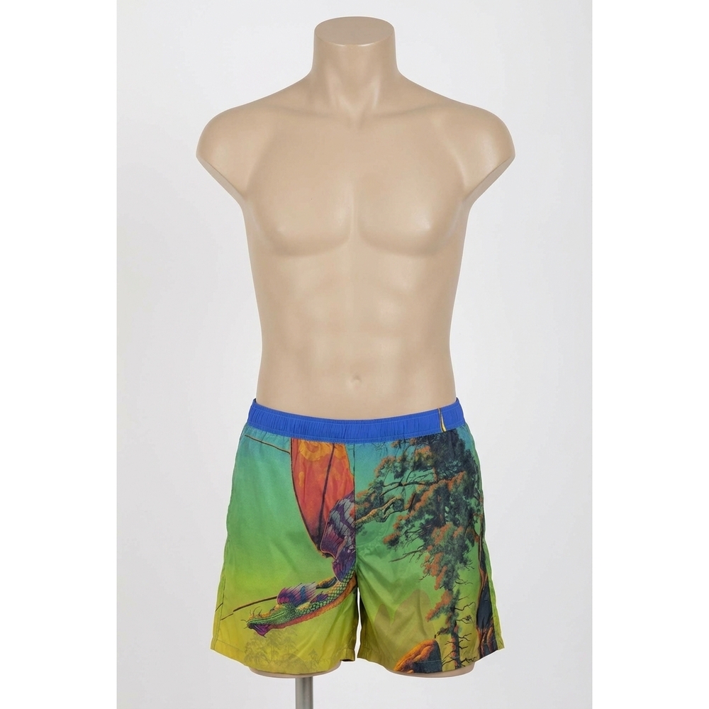 NEW VALENTINO men's dragon at dawn print swim shorts in green